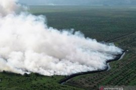 Satgas Karhutla tenggelamkan lahan gamut yang terbakar