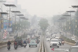 Dampak Karhutla Di Kalsel