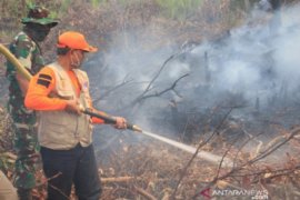 Sekda Banjarbaru ikut turun langsung padamkan Karhutla