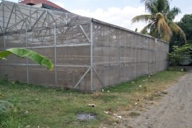 Mataram siapkan Rp50 juta merevitalisasi "rumah kaca" hidroponik