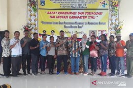 Teluk Wondama butuh pendamping dana desa