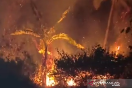 PBNU desak pemerintah cabut izin perusahaan pembakar hutan