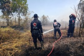 PMI kerahkan relawan untuk atasi karhutla dan kabut asap