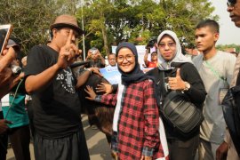 Pemkab Lebak jaga populasi bibit unggul kerbau asli daerah.