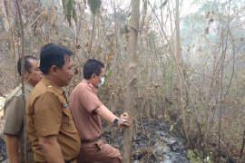 Bupati Syahirsah  tinjau Karhutla di Tahura Sultan Thaha Batanghari