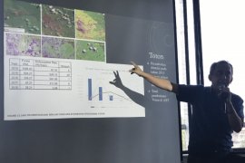 WWF - Indonesia usul Indonesia darurat karhutla selamatkan hutan tersisa