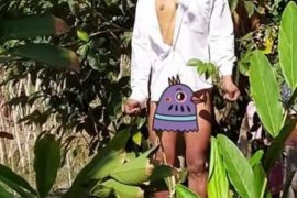 Dikira boneka setelah didekati ternyata orang gantung diri