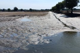 Sambut musim hujan, petani tambak Sidoarjo kosongkan tambak
