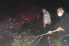 15 hektare lahan di Tapteng terbakar