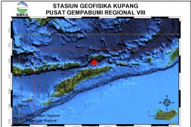 Alor, NTT diguncang gempa magnitudo 4.4