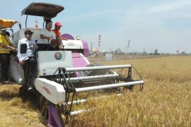Kalsel siap menjadi provinsi penyangga pangan ibu kota negara baru