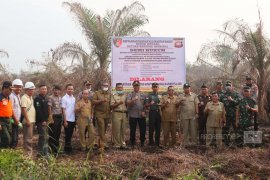 Polda  segel dua lahan kebun sawit yang terbakar