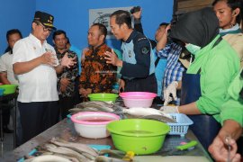 Pemprov Kaltara usulkan bangun gudang beku untuk perikanan