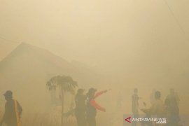 Kebakaran lahan nyaris hanguskan sekolah dan rumah warga