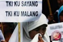 P4TKI Aceh Tamiang belum dilirik masyarakat di  Aceh