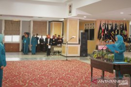 Rosmanidar Hasibuan dilantik sebagai Ketua Dekranasda dan TP-PKK Labuhanbatu