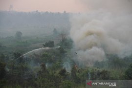 Kebakaran Lahan Di Perbatasan Kota Banjarmasin