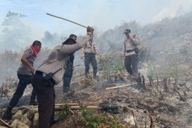 Damkar dan polisi sulit padamkan karhutla di negeri Amahusu
