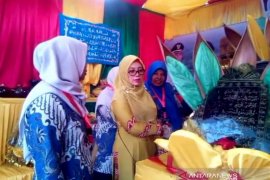 Isteri Gubernur Aceh kunjungi stan pameran Nagan Raya di MTQ  Pidie