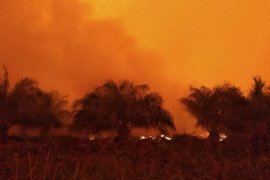 Satgas masih berupaya sekat kebakaran lahan di Kumpeh Ulu