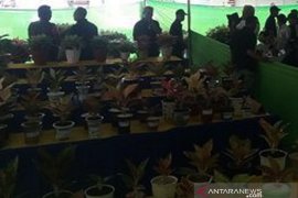 Disperpa: Pengunjung dan omzet AFE 2019 Kota Magelang meningkat