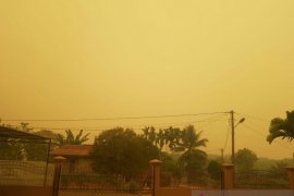 Pemkot Jambi : Kualitas udara Jambi  sangat tidak sehat hingga berbahaya