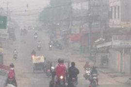 Pemkab Labuhanbatu buka 9 Posko dampak Karhutlah