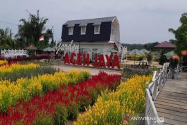 Rumah bernuansa Eropa tambah keindahan taman bunga Celosia