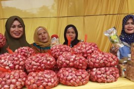 Harga bawang di Ambon turun