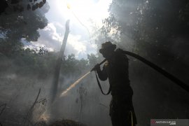 Dipercepat, penyidikan dan penuntutan kasus karhutla