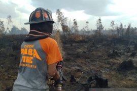 Relawan Damkar keroyok karhutla di Guntung Damar Banjarbaru
