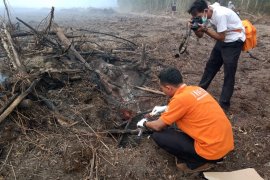 Kabut asap di Babel seolah jadi "tradisi" tahunan