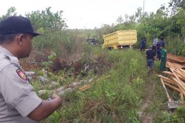 Lahan untuk penyelamat orang utan dirambah sejumlah orang