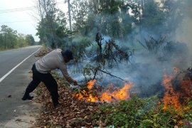 Lahan di sekitar kawasan Terminal Gambut  terbakar