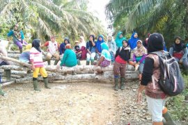 PT Agro Muko minta waktu terkait persoalan buruh perempuan