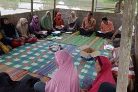 Wawako sarankan petani Solok budidaya kakao tambah pendapatan keluarga