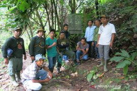 Beruang "hantui" warga Desa Simpang Duhu Dolok Madina