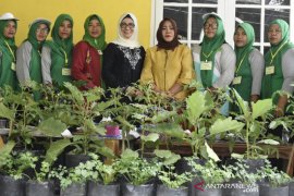 PKK dan Dinas Pangan Gorontalo bina kelompok tani manfaatkan pekarangan