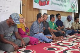 Pertanian organik solusi pertanian berkelanjutan