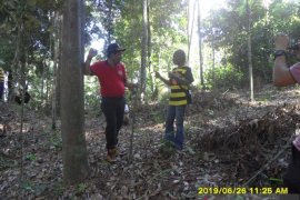 Dishut Babel rintis usaha masyarakat berbasis pemanfaatan potensi hutan