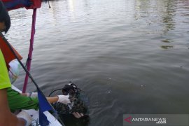 3 tons green mussels to clean Jakarta Bay