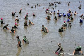 Penanaman Mangrove HUT TNI Page 1 Small