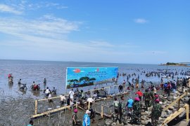 750 prajurit TNI-AL tanam ribuan bibit mangrove di Pelabuhan Untia Makassar