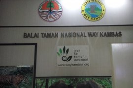 729  hektare hutan Way Kambas terbakar