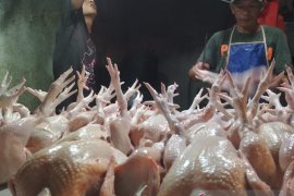 Ayam potong di Baturaja Oku Rp27.000/Kg