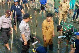 Wawako Sibolga bersama TNI-Polri tanam 3.074 pohon mangrove