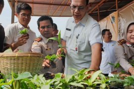 Produk hortikultura  Sumut tembus pasar ekspor