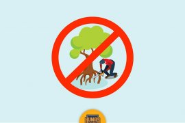 Tanpa Ada Izin, Dilarang Membangun di Atas Perairan