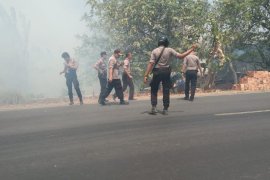 Kebakaran hebat  di Jalintim Mesuji Lampung  Perbatasan Provinsi Sumatera Selatan Page 3 Small