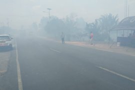 Kebakaran hebat  di Jalintim Mesuji Lampung  Perbatasan Provinsi Sumatera Selatan /Antaranews Lampung com   Foto Raharja  Page 1 Small
